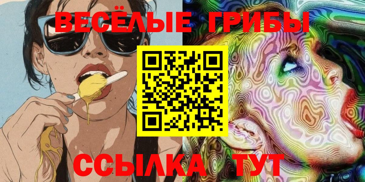 Сунжа  Псилоцибиновые грибы GOLDEN TEACHER  Вход с VPN 